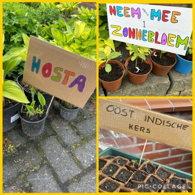 Kun jij nog een plantje gebruiken?